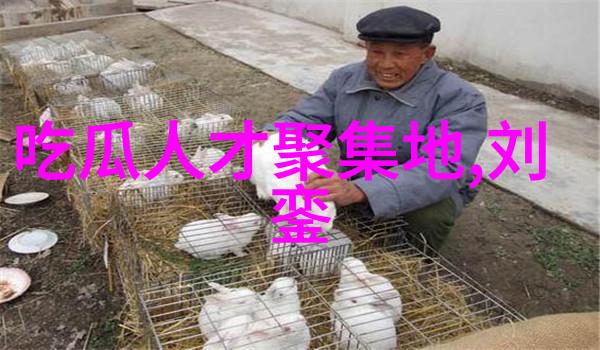 逆袭八卦揭秘方位风水的奇妙变换