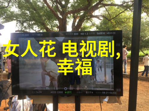 木兰妈妈陈牧驰星落凝成糖收官嘲风的沉渊之路引发共鸣