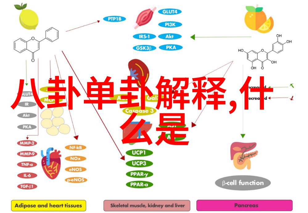 从零到英雄走进那些在向往生活综艺中实现梦想的人们的心路历程