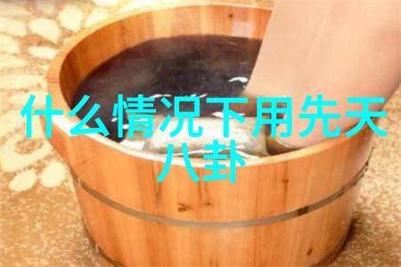 徐若瑄写真穿越时光的美丽瞬间