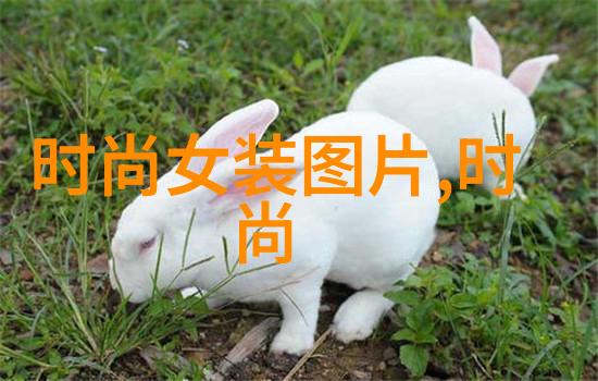卜问时日透过古籍看懂易经中每一个太极阵列