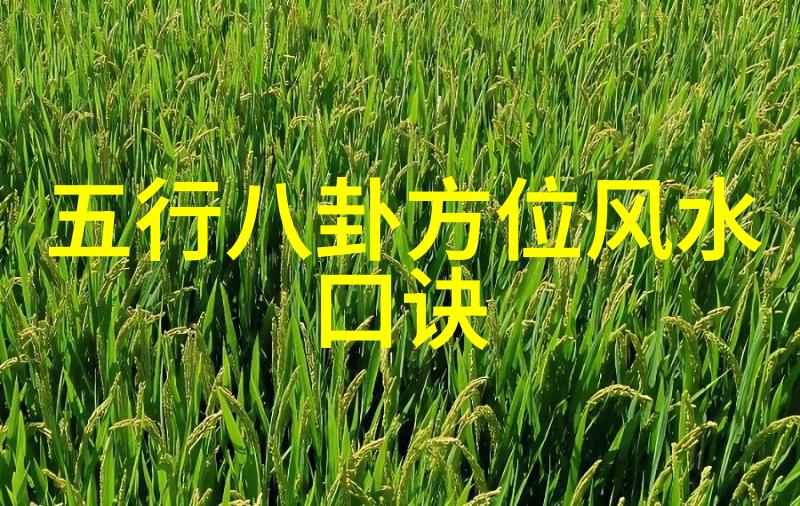 银幕之舞影视神马的绚烂序曲