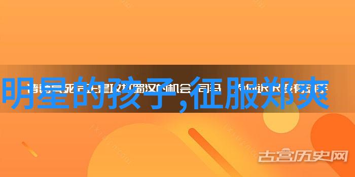 GIGASET集怡嘉 C510数字无绳电话亲情跨越距离的时尚桥梁