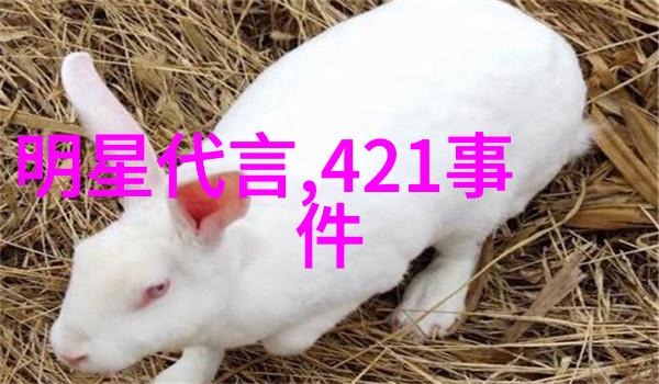 从网红到隐退一位曾红遍网络的明星的沉默之路