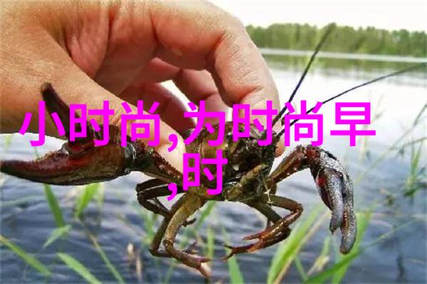 技术进步如何塑造我们的视觉体验