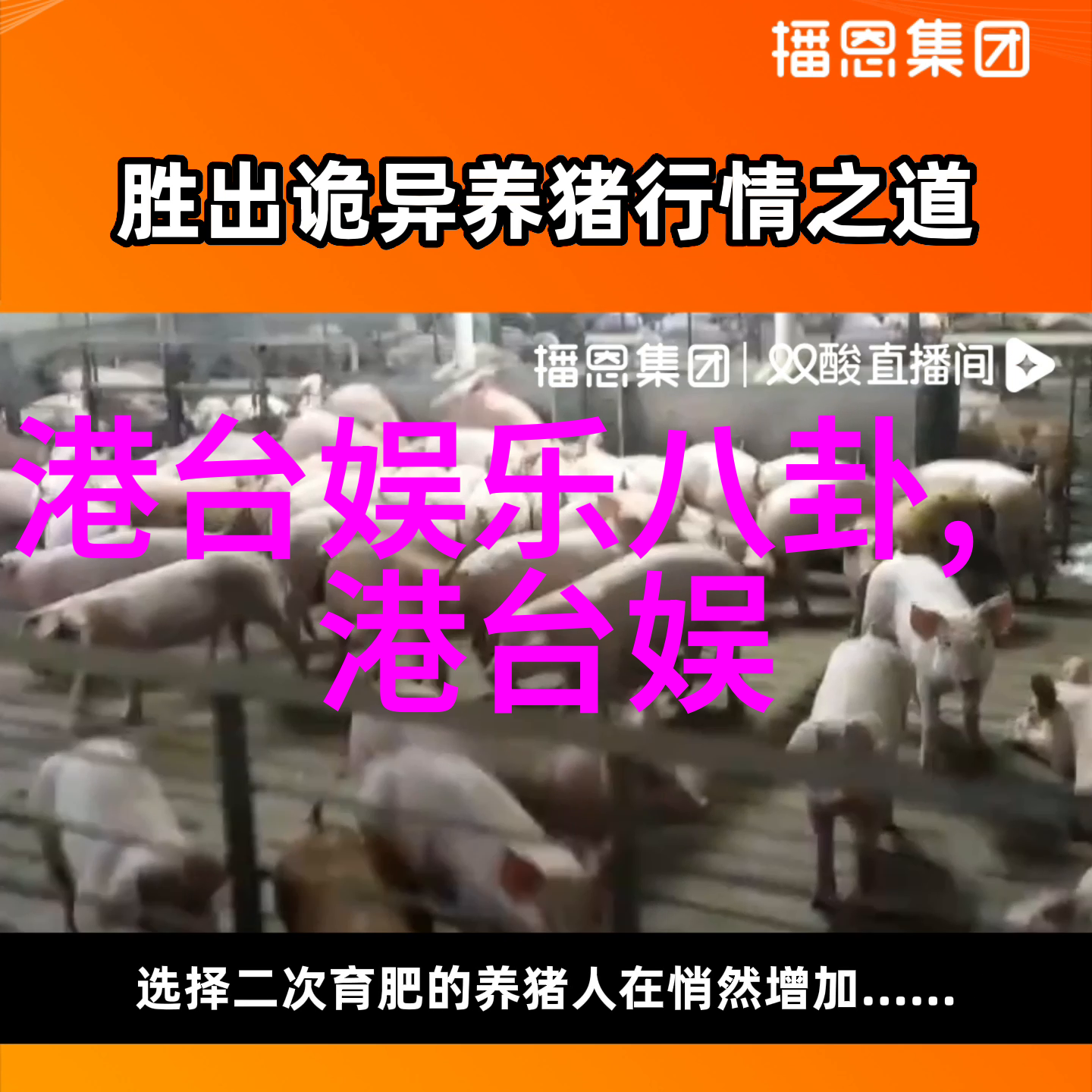 秋霞电影网追忆那些年看过的经典电影