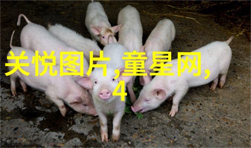 陈思诚暗示王宝强他倾桌的眼神里藏着什么