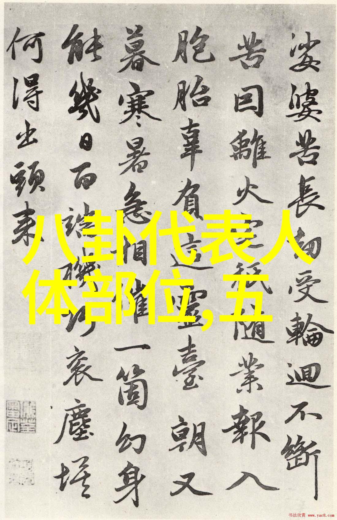 车速快多肉的百合我眼中的百合速度与美的奇妙融合