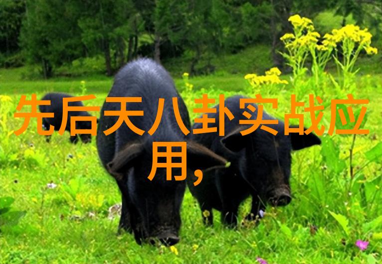 杨洋军艺校草的尽头是炊事班什么梗新剧特战荣耀开播口碑如何最新电视剧大全中的人物让我们共同探索