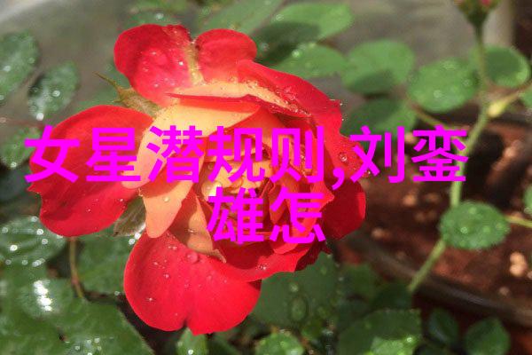 变形金刚超能勇士崛起与熊出没之伴我熊芯电影免费观看双重奇幻一场酷辣对决