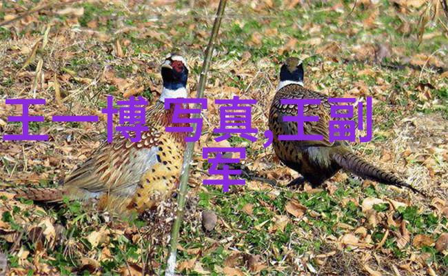 图像识别新时代百度扫一扫的奇迹