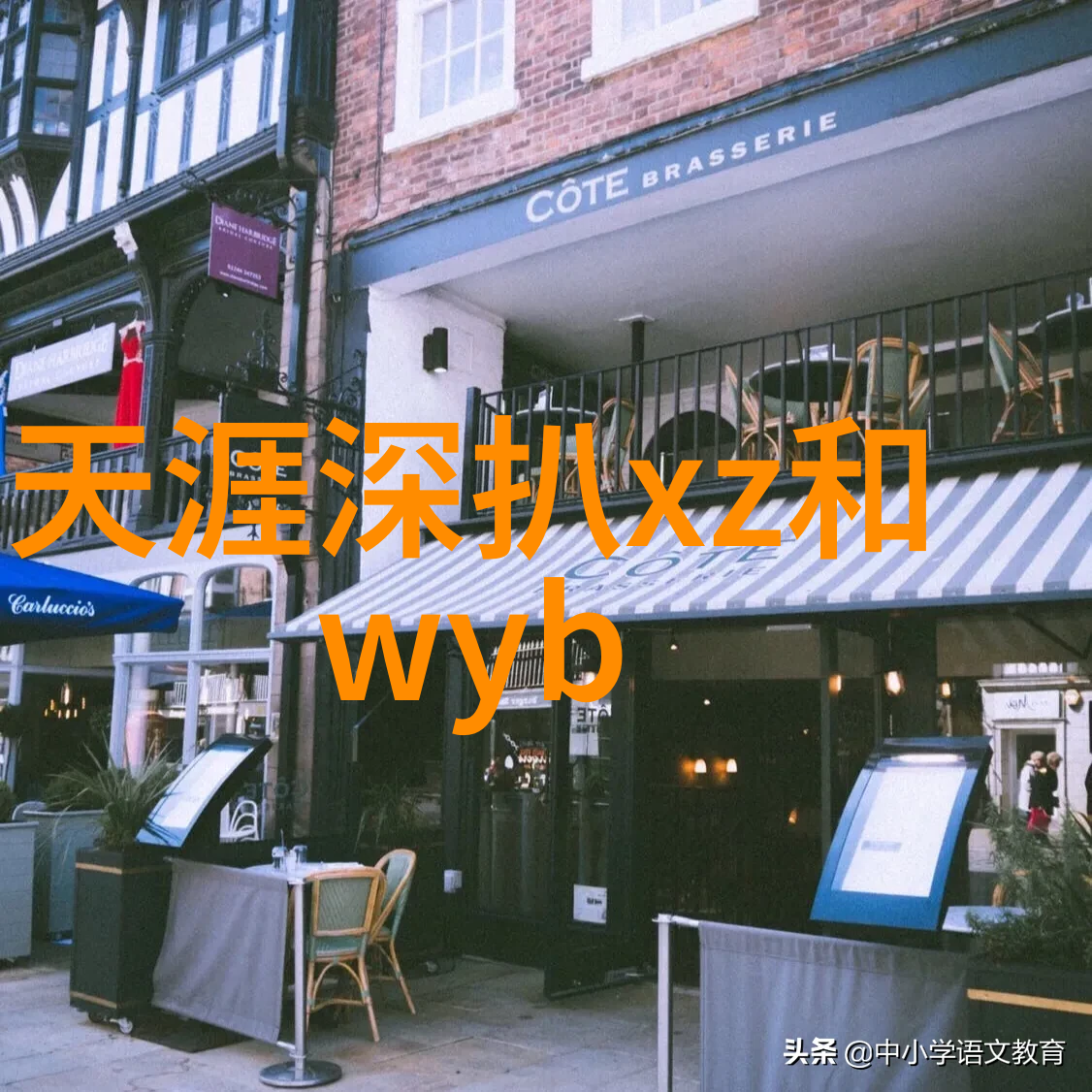 头条新闻世界各地的猫咪都在读书人类却不知道为什么