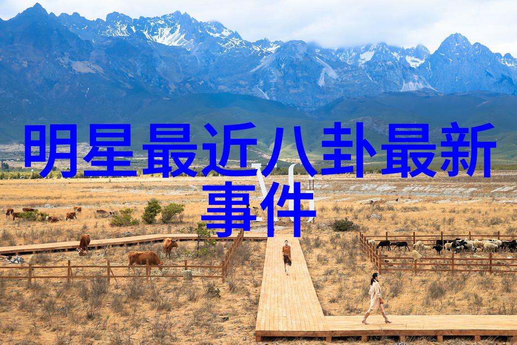 他们是我们中的英雄探索同性明星在社会中的作用