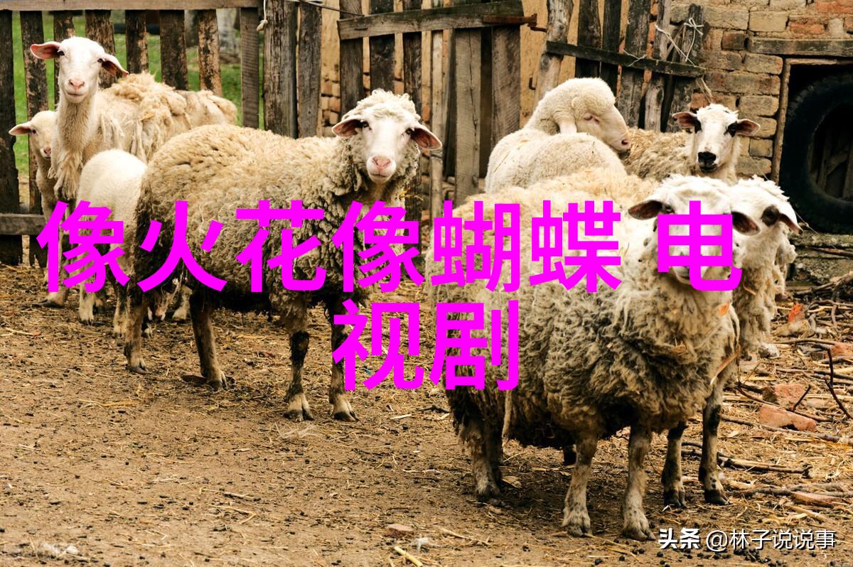 時間旅行者的穿搭日记從90年代復古風格到今朝之選