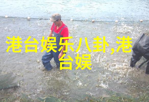 家宅八卦风水方位图解住宅布局与风水元素配置技巧