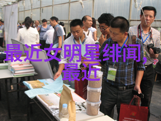 河南大饥荒万家空巢的悲歌