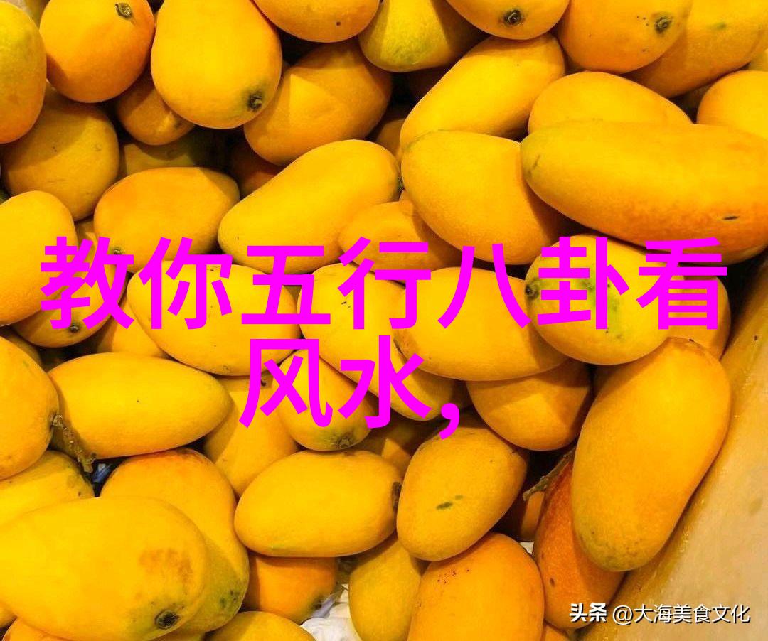 写真网数字时代的社交与身份构建探究
