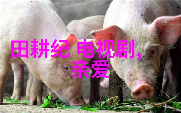 网络文学热门作品虚拟世界的奇幻冒险