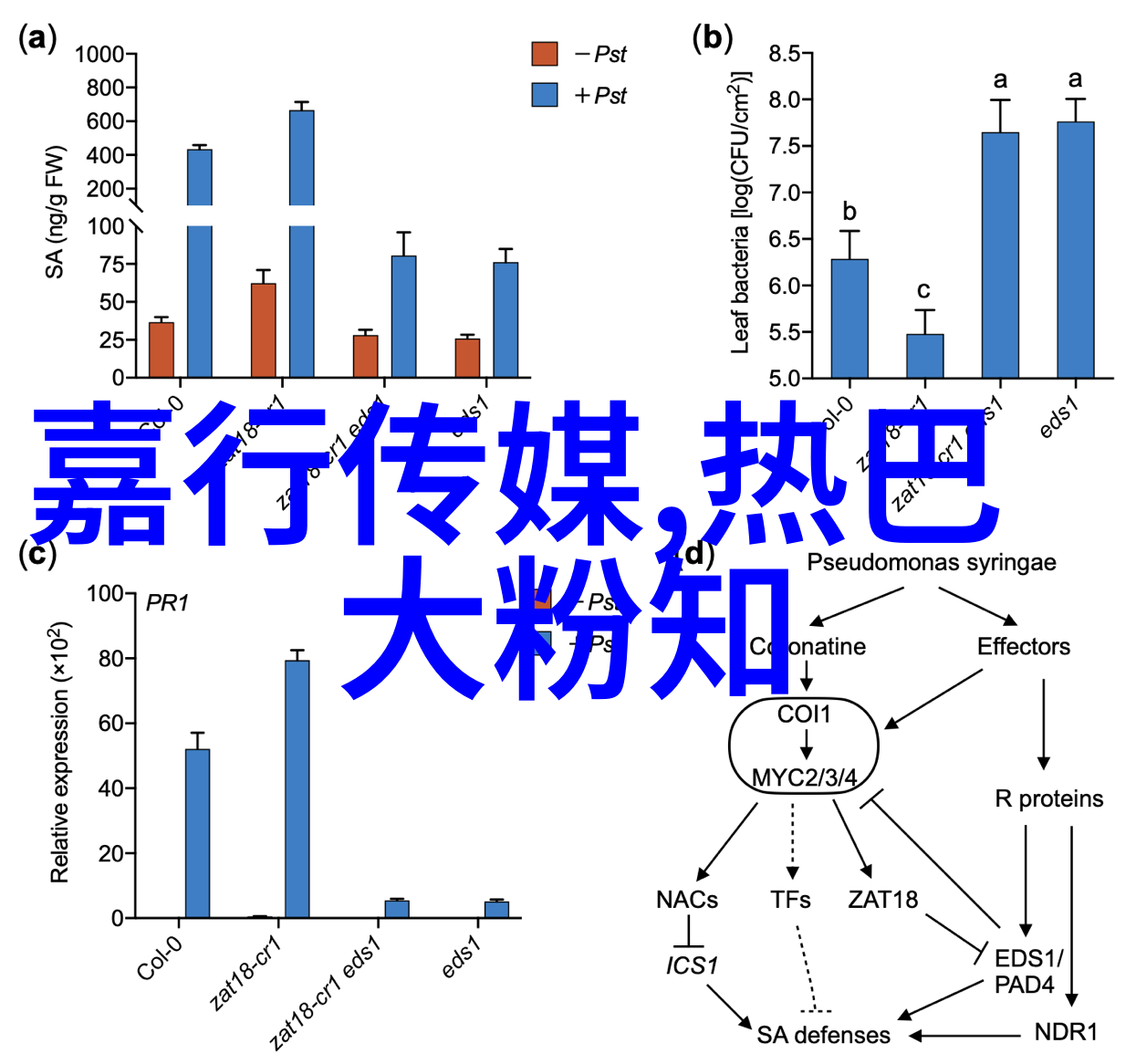 解锁宇宙密码科学家们是如何研究后天八卦图效力的