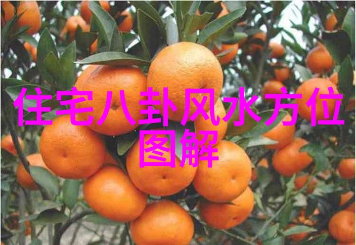 黄轩变形记玩世英雄上线爱奇艺免费观看2021年可用