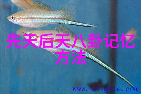 谭咏麟开香槟庆祝音乐夏令型5天获金唱片半是蜜糖半是伤电视剧在社会热播