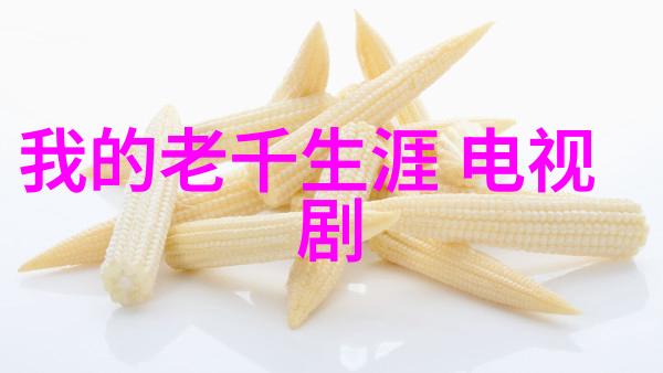 大陆集团中国官方网站大陆集团在华业务的官方门户