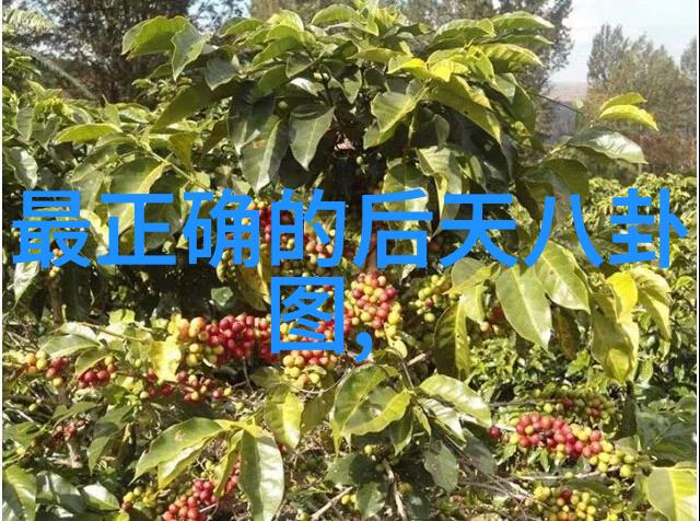 青春无界从未言语的恋爱篇章