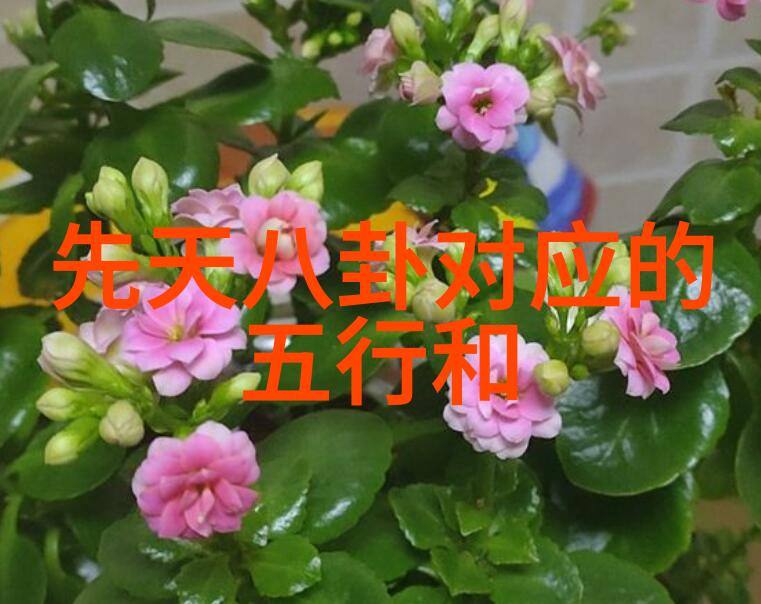 探秘西瓜影视制作流程从剧本到大屏幕