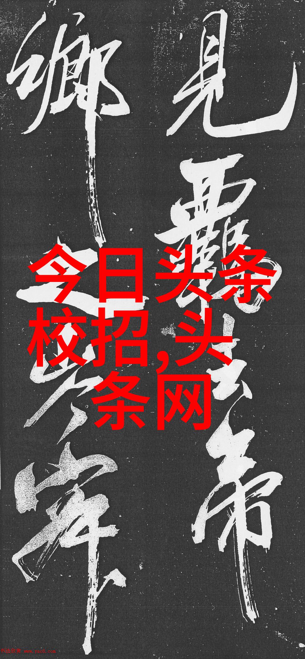 综艺节目的制作人之谜他们是如何塑造节目的风格和热度的