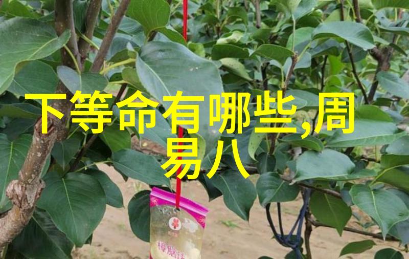 天网音乐OK168音乐网探索数字音乐的未来之路