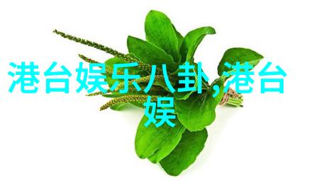 台湾人填写国籍时为什么要选择中华民国