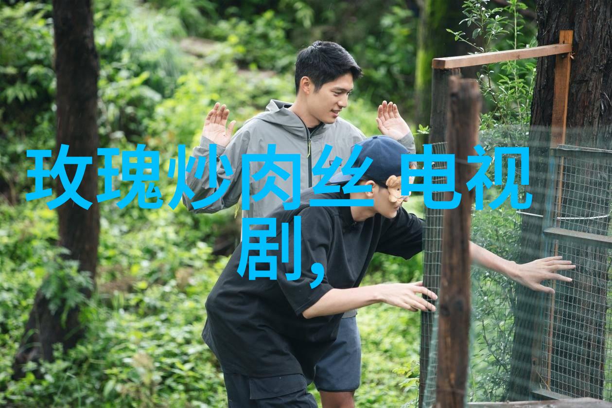 回响中的金辉免费经典老歌500首怀旧之旅