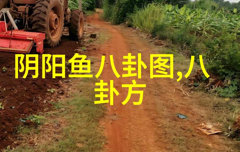 荷花图片大全探索碧波荡漾的美丽世界