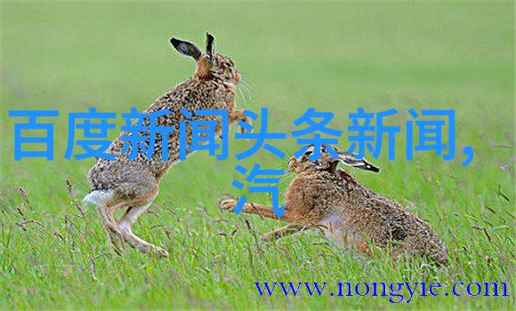 青娱乐极品视觉盛宴中的富勒烯多肽面膜究竟有多么令人震撼呢它不仅是一张面膜更是一场对皮肤的无尽爱抚一次