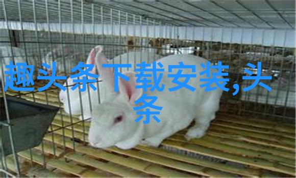 百度新闻头条新闻-今日焦点全球经济前景分析与国内政策调整解读