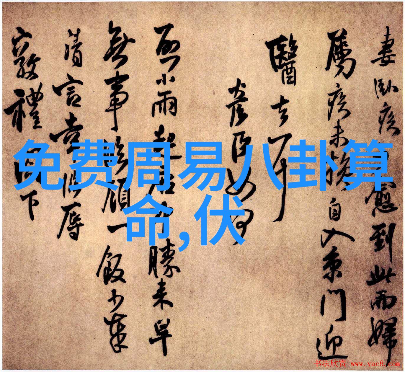 家庭美学大师家务优等生综艺