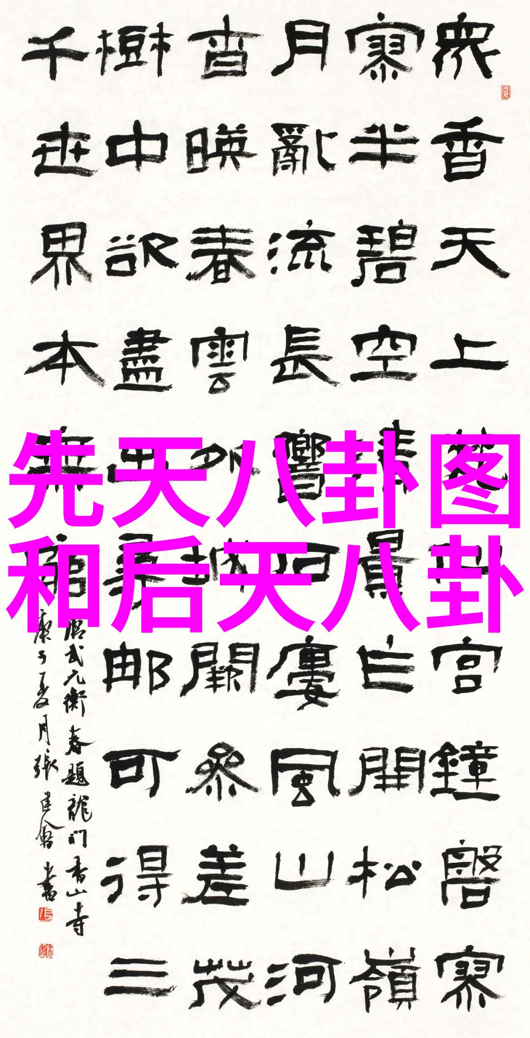盛宴一桌探索大碗娱乐的魅力与风尚