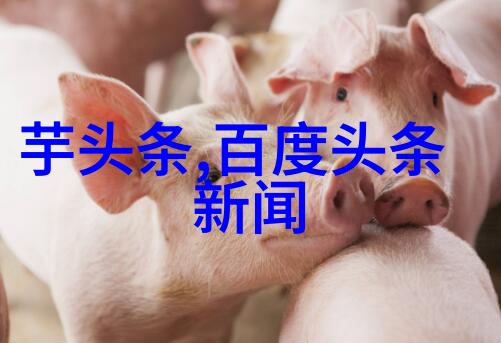 我们是否应该担心那些在魅影视频中出现的问题