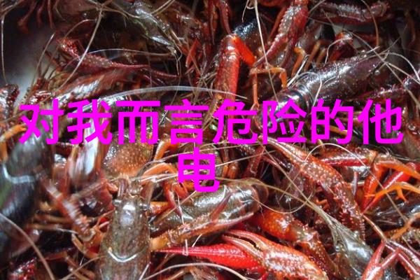 家宅八卦风水指南揭秘方位图解之谜
