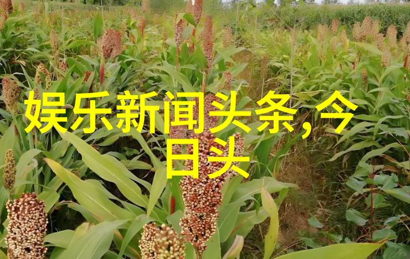 探索数字世界3166标准与其在全球化中的作用