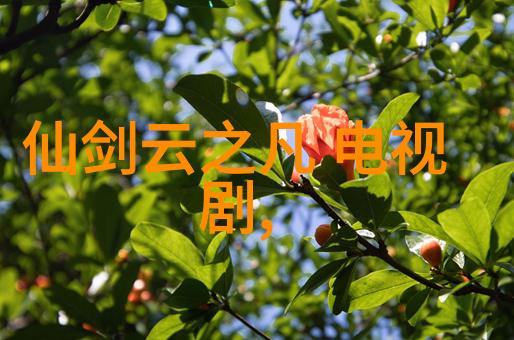 爱情大爆炸揭秘最近最热门的恋爱综艺