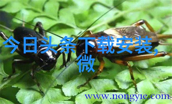 1915年大陆漂移说揭秘地质变迁的关键年份