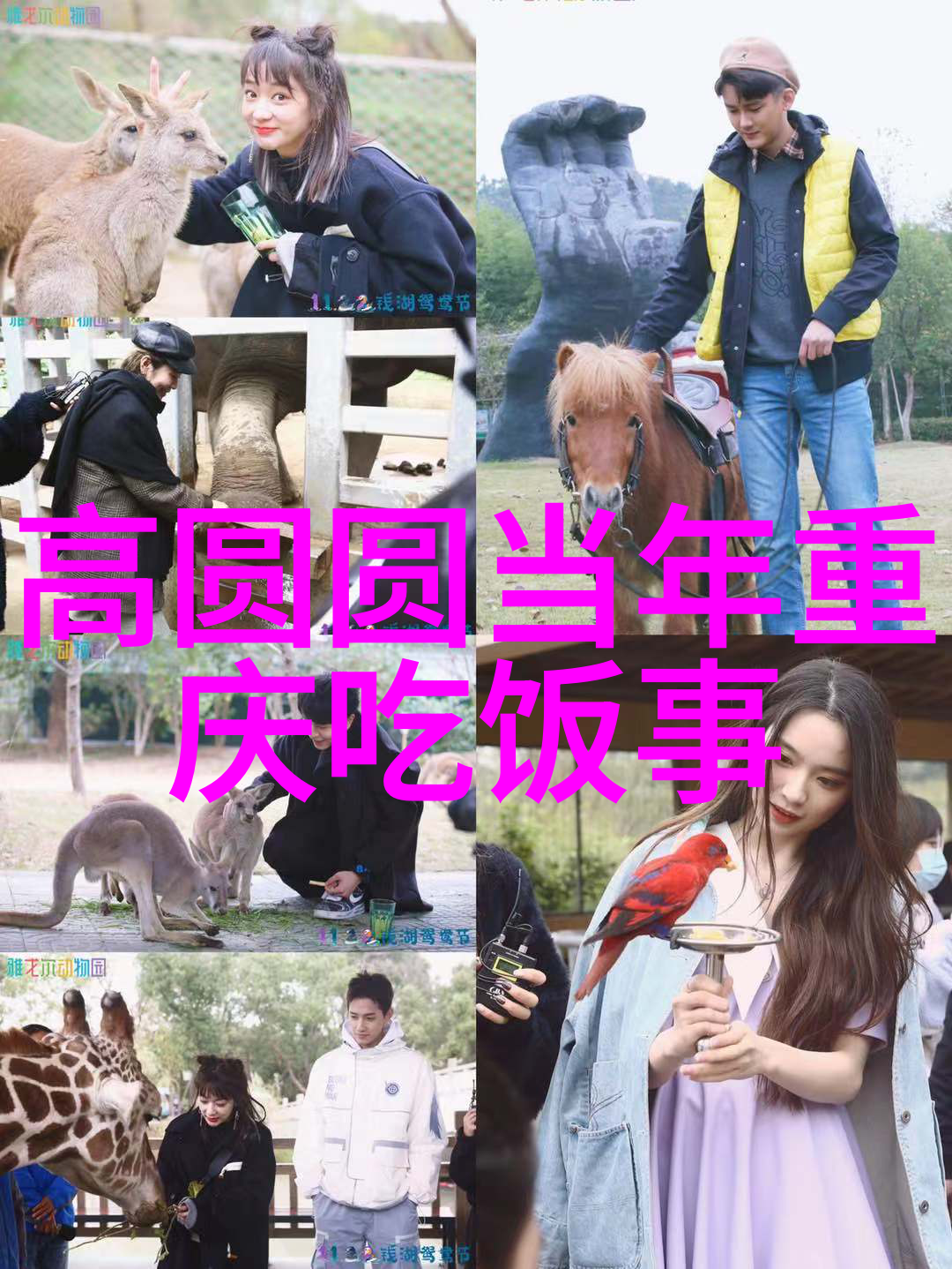 七夕首选成人电影小妇人反复曝光爱情金句剧照
