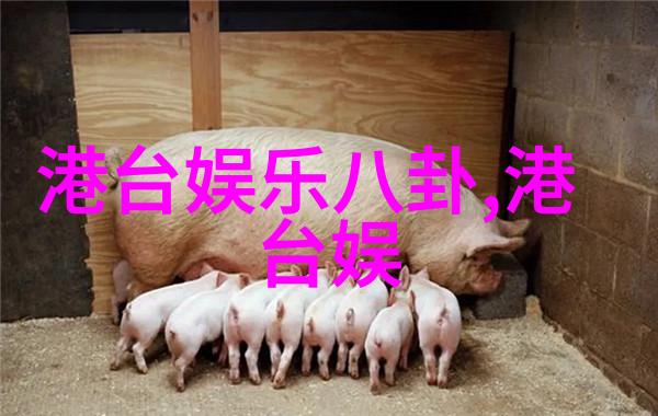 美女写真捕捉内在光芒的瞬间