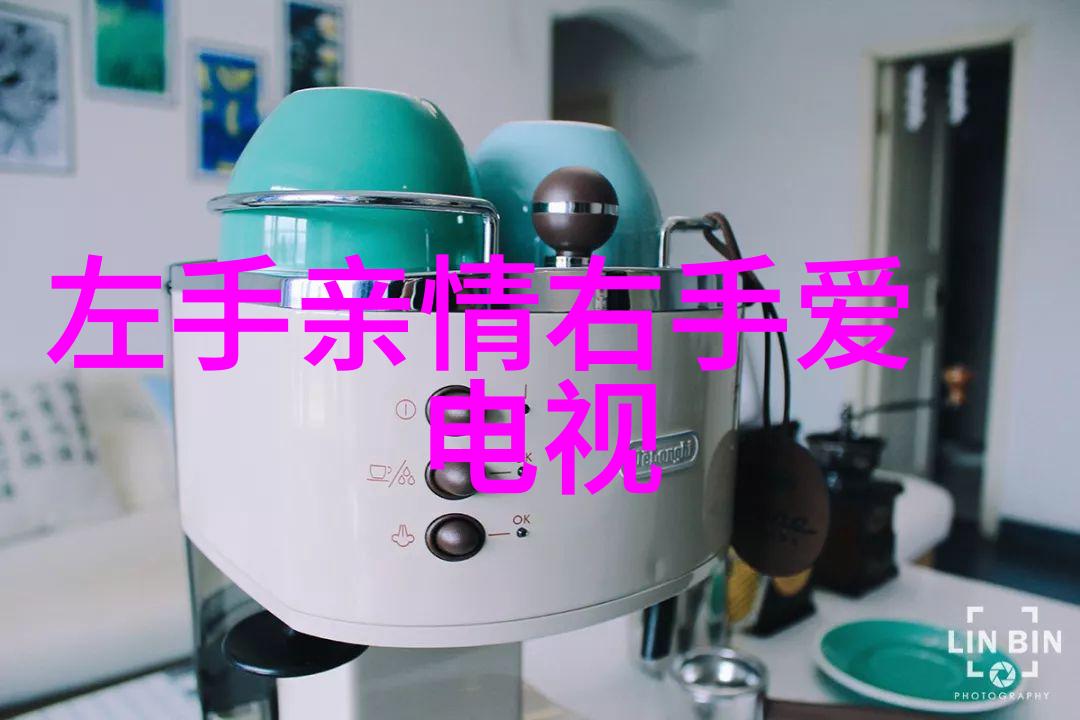 呼叫大明星 电视剧我是谁你是谁我们是电视里的传奇
