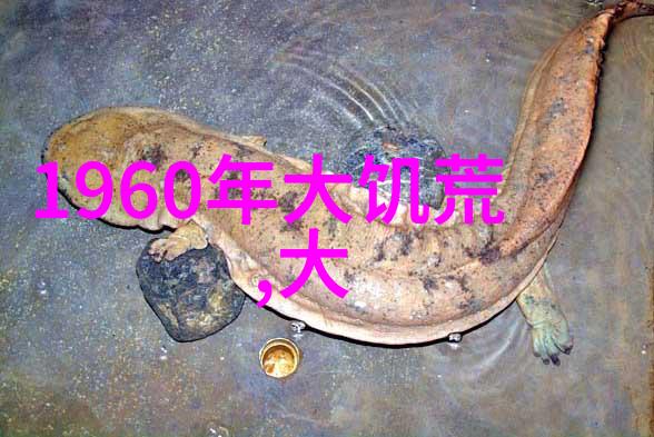 电视剧天涯明月刀的视觉盛宴特效与服装设计亮点