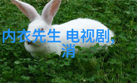 探寻音乐往昔如何找到提供免费老歌的平台