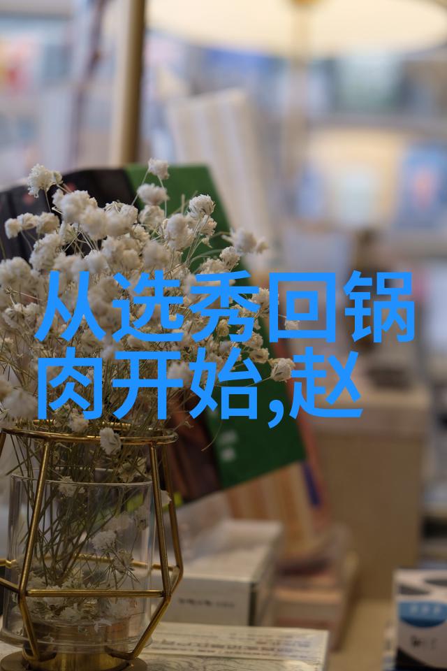 暗战影网中的双面人
