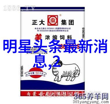 北京电影节闭幕红毯上白百何优雅气质尽显她的黑色礼服让时尚女记者们都羡慕不已