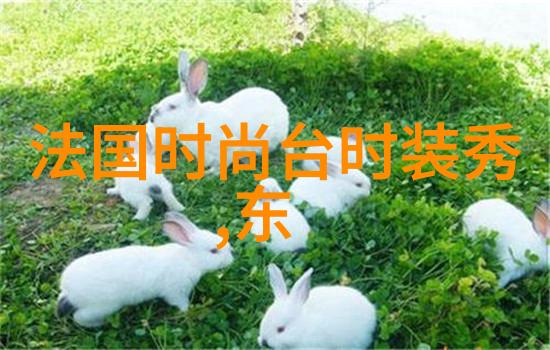 天地八卦宇宙之韵生命之源